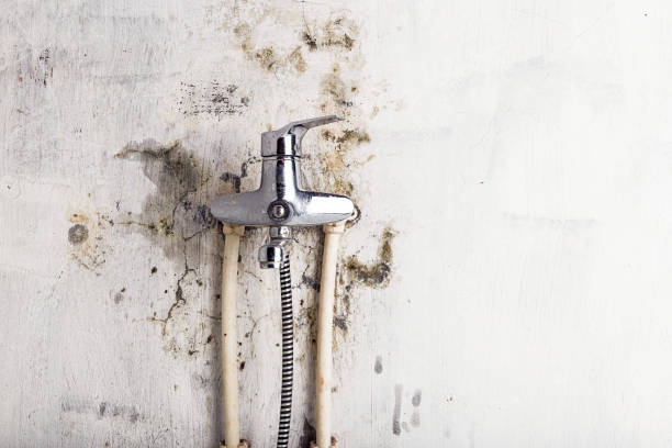 Best Mold Testing  in Deer Park, IL
