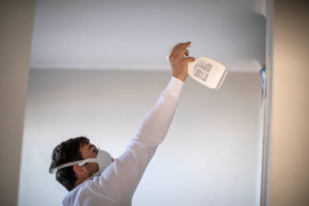 Best Affordable Mold Removal  in Deer Park, IL