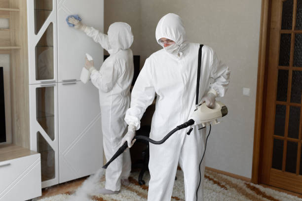 Reliable Deer Park, IL Mold Removal Solutions