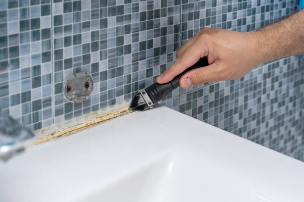 Best Fast Mold Removal  in Deer Park, IL